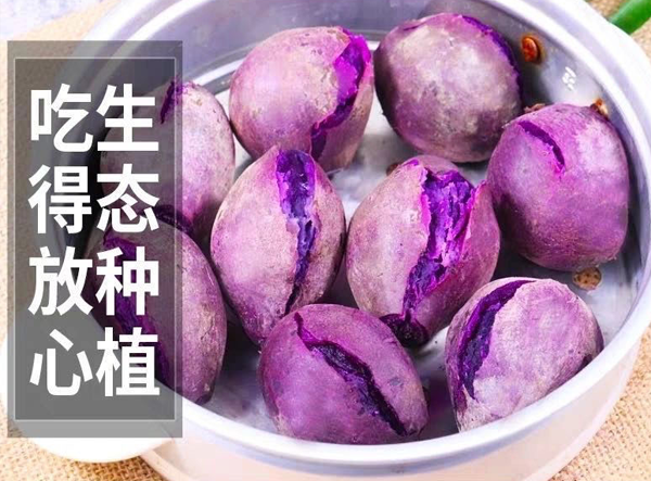 越南紫薯的功效与作用